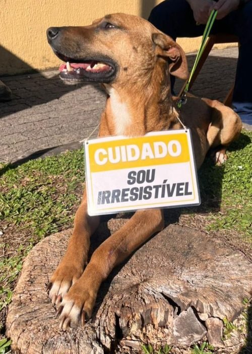 CARAMELO